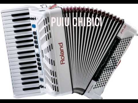 Puiu Chibici *
