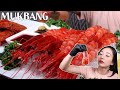 💎🦐세상에서 가장 비싼 새우🦐💎 (까라비네로새우) 생새우 회 먹방 Carabinero Shrimp 🦐raw shrimp mukbang🦐