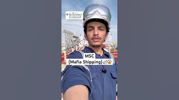 MSC ( MAFIA SHIPPING) 🛳️😱😱 #explore #shiplife #merchantnavy #travel #ocean #seaman