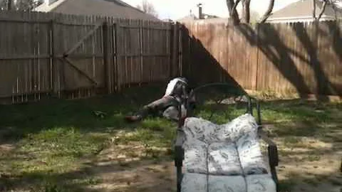Wesley Wolfe vs vinny