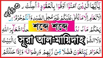 Ep-3 Surah Al-Maidah, verses~3 | সূরা আল মায়েদাহ, আয়াত~৩ | سورة المائدة | surah maidah bangla┇maeda
