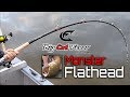 Big cat fever vs monster flathead catfish  catch the fever