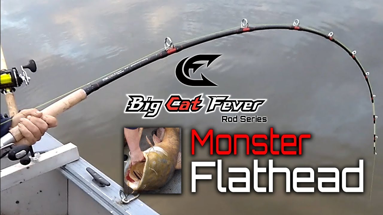 Big Cat Fever vs Monster Flathead Catfish - Catch the Fever 