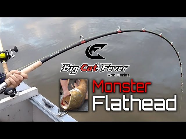 Big Cat Fever vs Monster Flathead Catfish - Catch the Fever 