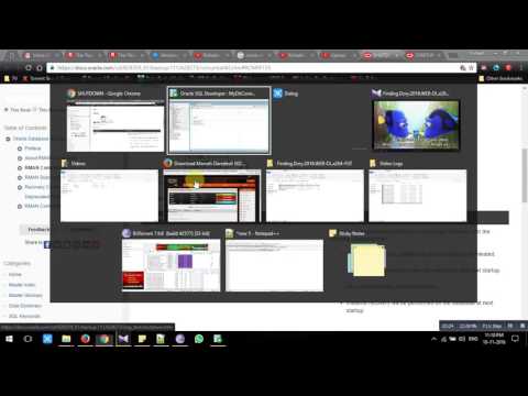 010 E - STARTUP and SHUTDOWN and different parameters used with them in SQL