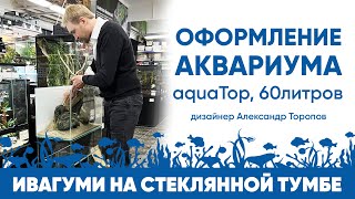 Оформление Аквариума Aquatop. Ивагуми На Стеклянной Тумбе.