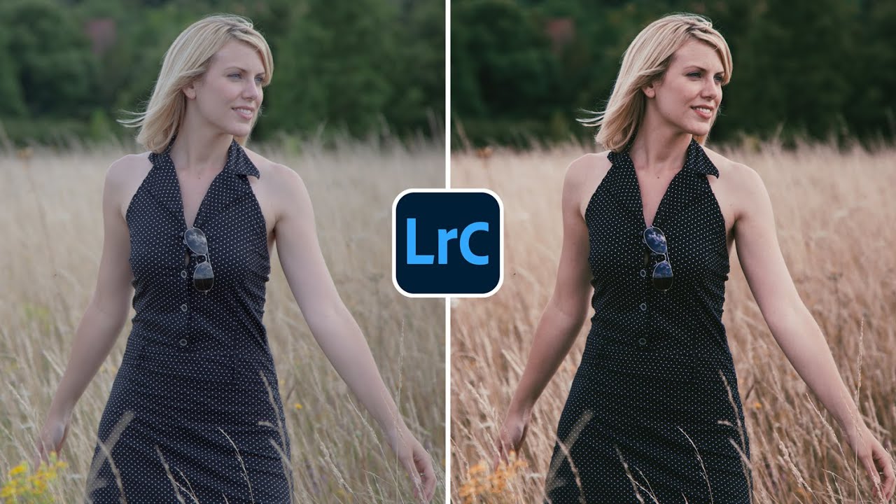 Free Lightroom Preset Filterlook by Presetpro.com