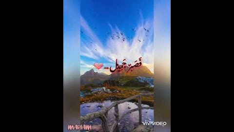 قرآن كريم ..بصوت القارئ ..معاذ العيد ..(فصبرٌ جميل )حالات واتساب ستوريات انستا ...🌸