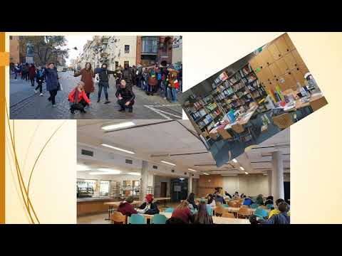 გაცვლითი პროგრამა