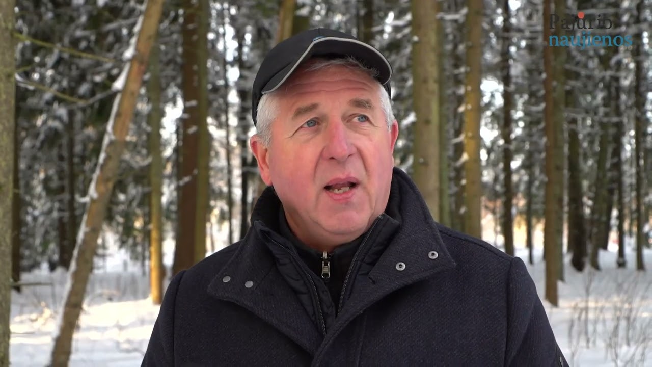 Kaip laukiniai gyvūnai žiemoja?