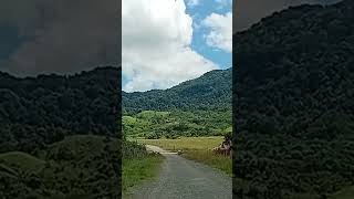 Download Lagu Arie Koesmiran. Setulus Hatimu Semurni Cintaku. MP3