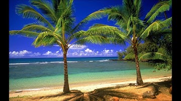 سورة الرحمن - د. يوسف أبوسمرة حنني - رواية قنبل عن إبن كثير - مقام الكرد