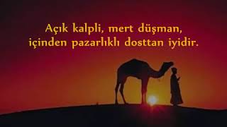 Hz Imam Əlinin Ə Ən Gözəl Və Ən Anlamlı Sözleri.