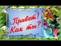 Привет! Ты как?