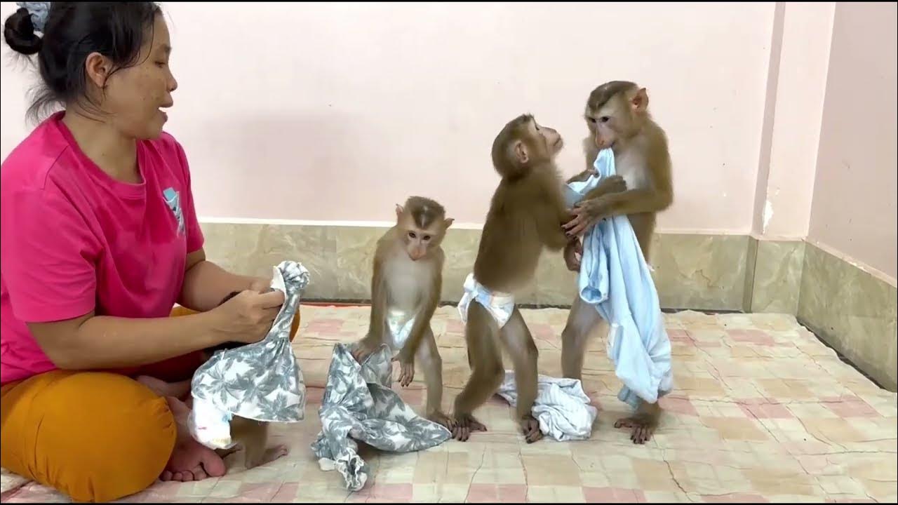 Zookeeper in the zoo. дети с дикими животными. девушка и кенгуру. кипер работа с животными. работник зоопарка.