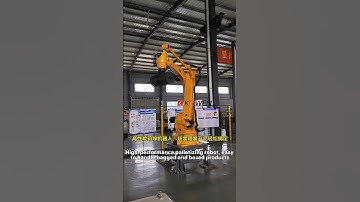 High-performance palletizing robot, easy to handle bagged and boxed products#robotics #palletizer