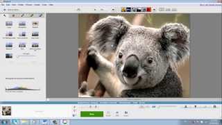 Best Tutorial on Picasa. Official Professional Look screenshot 1