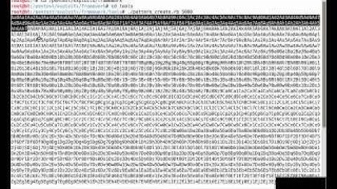 SecurityTube Metasploit Framework Expert Part 16