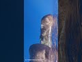 こっちに興味津々のマッコウクジラの子供🐳