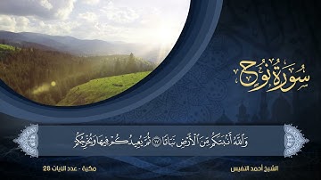 71 | سورة نوح | الشيخ أحمد النفيس