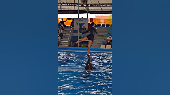 Jab Dolphin trick me hui Gadbad  #dolphin #trending #facts #shorts