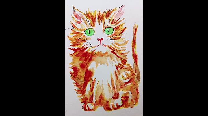 Video 2157151: cat pet maine coon, maine coon cat kitten, ginger maine coon kitten