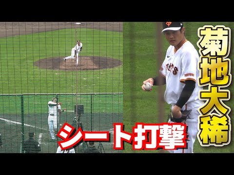 【巨人　春季キャンプ】実戦形式・シート打撃　菊地大稀　全投球！　門脇誠　　大城卓三　秋広優人　オコエ瑠偉　2024.2.14 ジャイアンツ