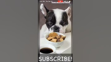 WATCH ANY MOVIE FREE *NO REVOKES* IOS APP