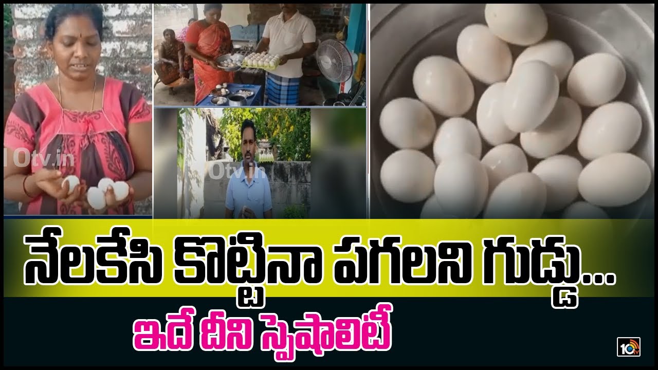 నేలకేసి కొట్టినా పగలని గుడ్డు... ఇదే దీని స్పెషాలిటీ | Magical Sale Of Plastic Egg In Nellore | 10TV