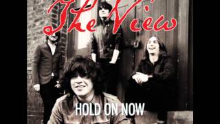 Video thumbnail of "The View - Hold On Now"