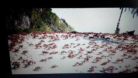 Peluchin Entertainment got terminated!!!! :DDDDDDDD