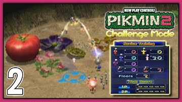 New Play Control! Pikmin 2 - Challenge Mode (Solo) | Novice Training