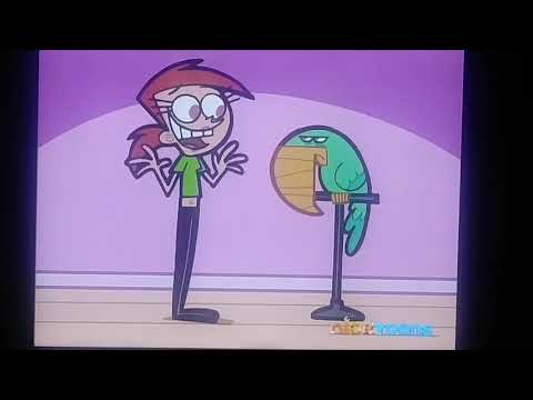 Vicky's Pets After They've Been Fixed