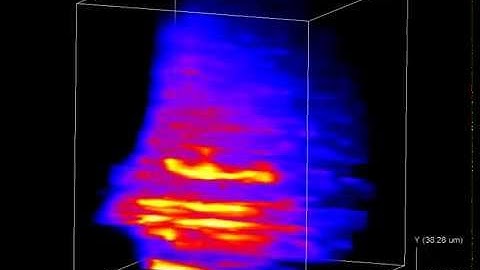Scientific visualization example