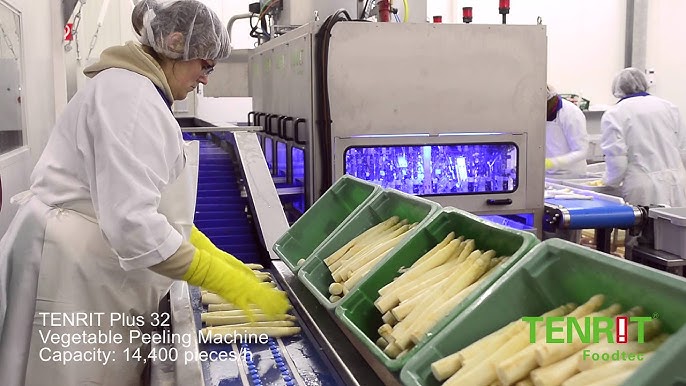 Machine à éplucher de pommes de terre - MSS - TENRIT Foodtec Maschinenbau  GmbH - de betteraves / de pommes