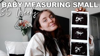 35 Weeks Pregnancy Scare Update | Baby Measuring Small + Early Induction