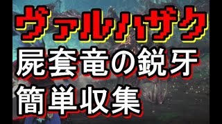 Mhw 屍套竜の鋭牙を簡単ゲット ヴァルハザク上位 Youtube