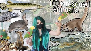 meet 100+ rescued exotic animals! (and their stories) REUPLOAD