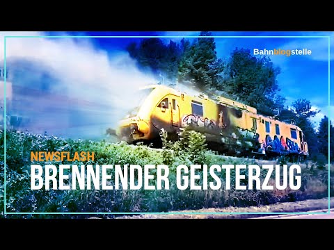 Video: Brennender Buschschnitt: Wie und wann man brennende Büsche beschneidet