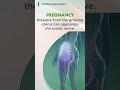 Unlocking Sciatica: Discover the Root Causes for Lasting Relief! | Dr Ravi Suman Reddy #shorts