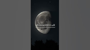 #اكسبلور #السعودية #duet  #تلاوة_خاشعة #تيك_توك #المصحف #رمضان #لايك #الرحمن #ماهر_المعيقلي