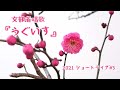 『うぐいす』文部省唱歌_2021ショートライブ#3