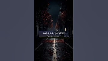 القران الكريم #اكسبلور #دويتو #duet #المراه #لايك #راحة_نفسية #