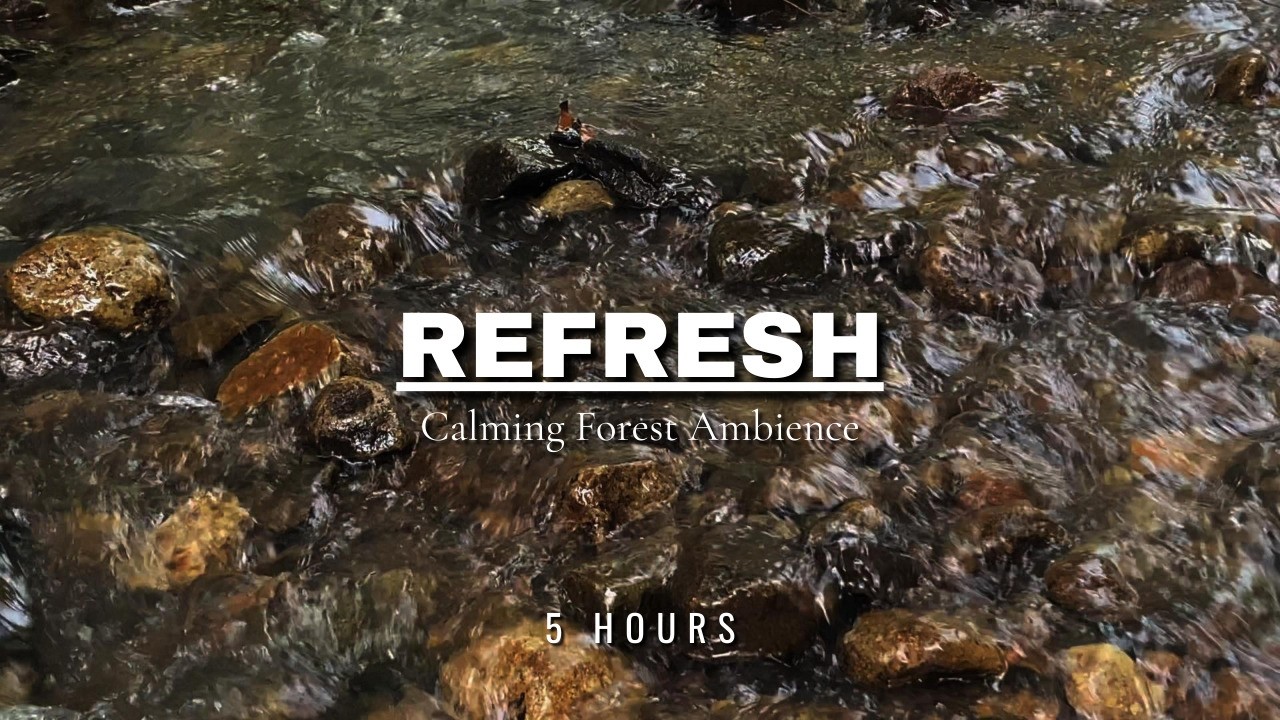 Calming Forest Ambience - River Flowing Birds Chirping in Hidden Forest Ambience for Rest, Medicine