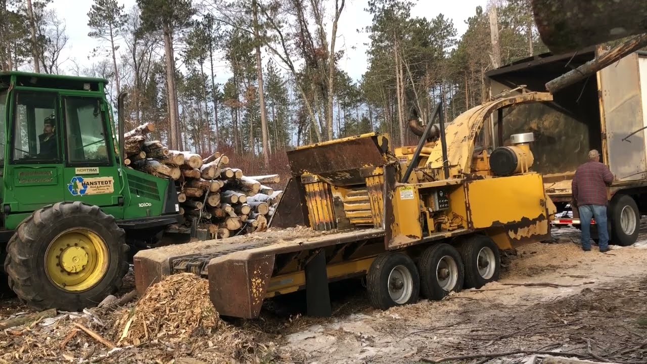 Whole tree Chipper massive logs  A trip to the landing #biofuel biomass #woodrecycling #logging