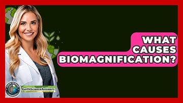 What Causes Biomagnification? - Earth Science Answers