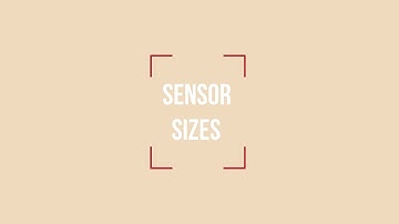 Photography Basics: Sensor Size