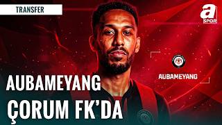 TRANSFER | \
