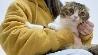 久しぶりに外出したら猫が離れなくなりました…笑