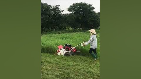 MÁY QUẬT CỎ 442 - THẾ HỆ MỚI LH 0964.318.695 Ms Hằng